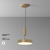 Миниатюра фото потолочный светодиодный светильник maytoni zon c032cl-36w3k-rd-mg | 220svet.ru